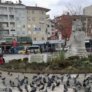 İstanbul Kartal Bölgesinde Ustalar